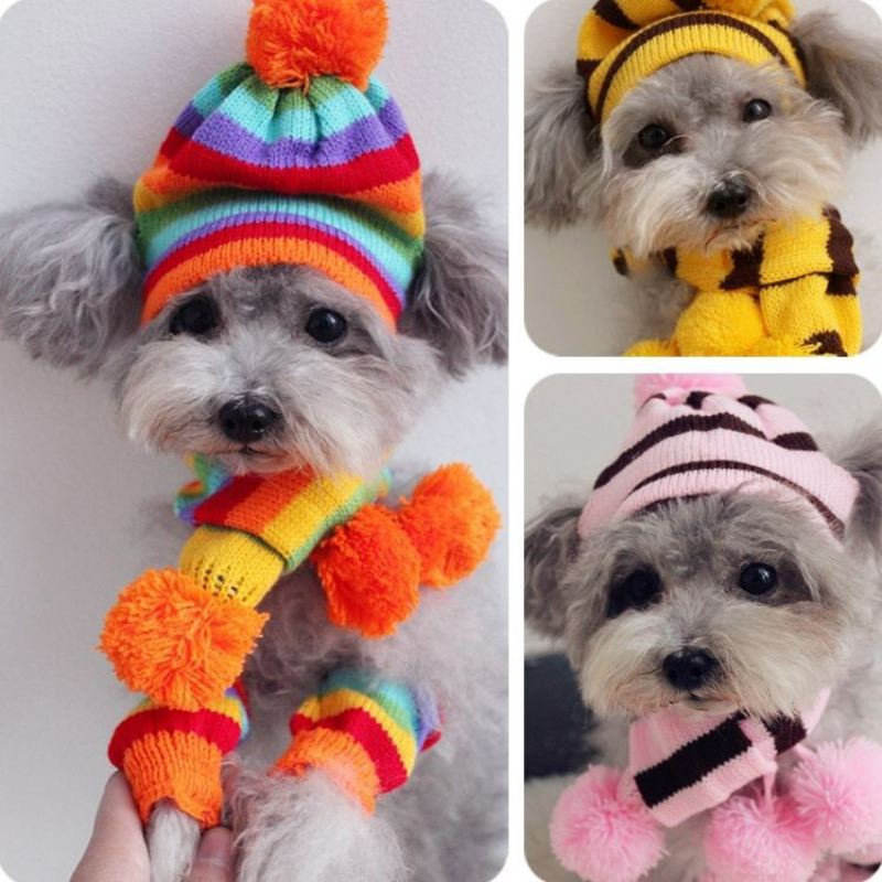 Rainbow Stripe Knitted Dog Win - Winter Clothing Leg Warmers のレビューと価格