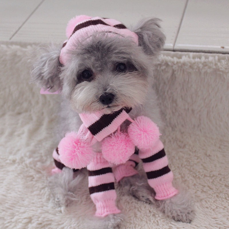 Rainbow Stripe Knitted Dog Win - Winter Clothing Leg Warmers のレビューと価格
