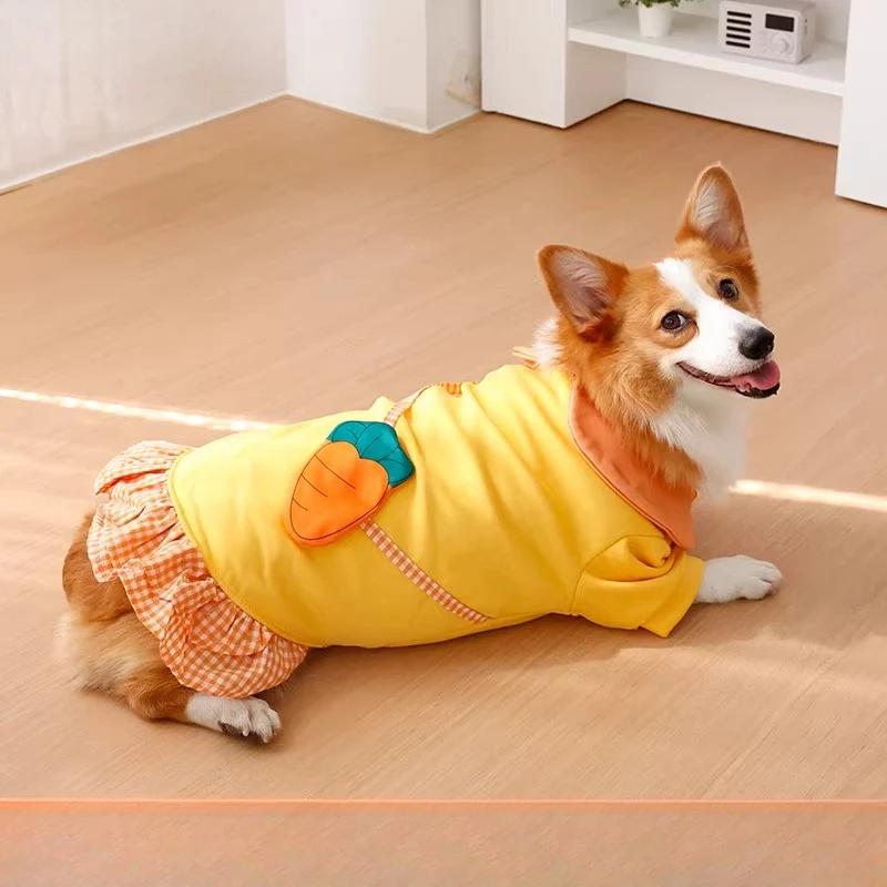 Dog clothing - Winter warmers  - Winter Clothing Leg Warmers のレビューと価格