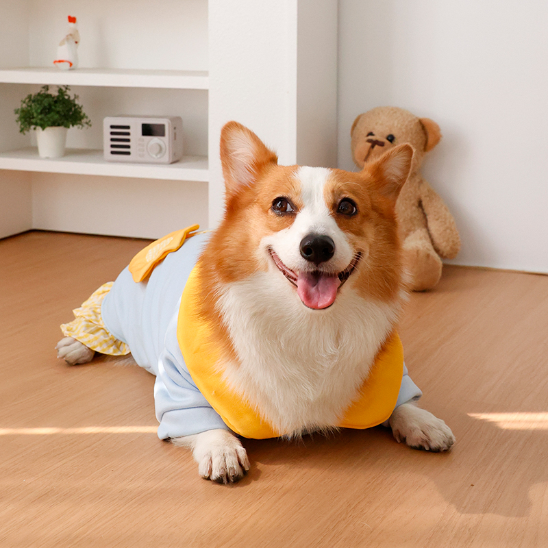 Dog clothing - Winter warmers  - Winter Clothing Leg Warmers のレビューと価格
