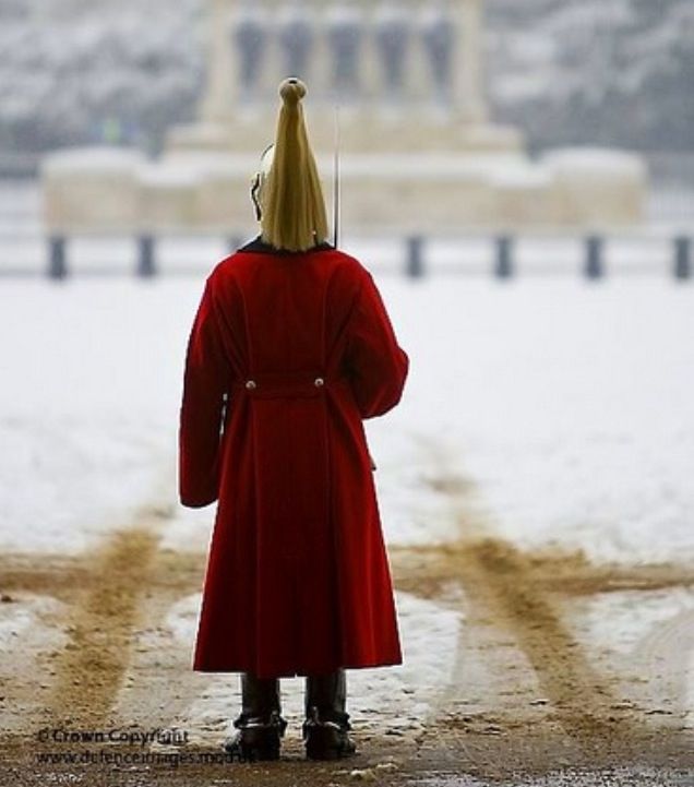 British War Horse Guard Jacket - Jacket Winter Clothing のレビューと価格