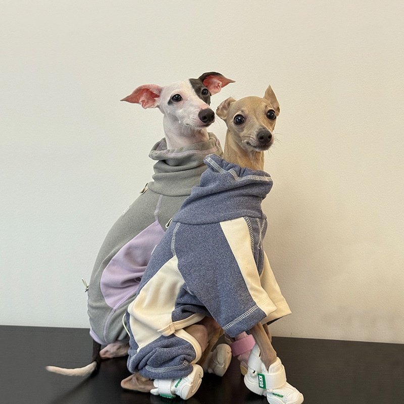 Dog Clothes for Autumn and Win - Winter Clothing Leg Warmers のレビューと価格