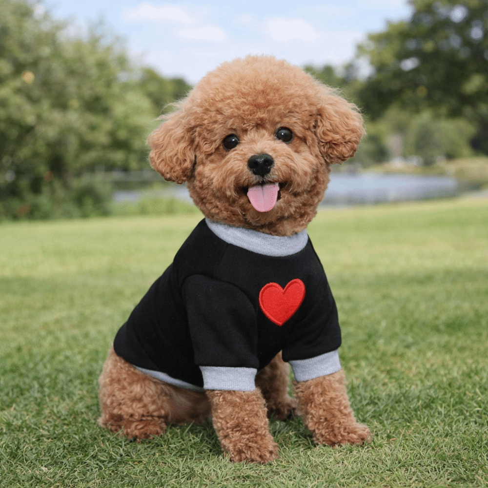 Pet Warmer Tops Thickened Dog  - Winter Clothing Leg Warmers のレビューと価格