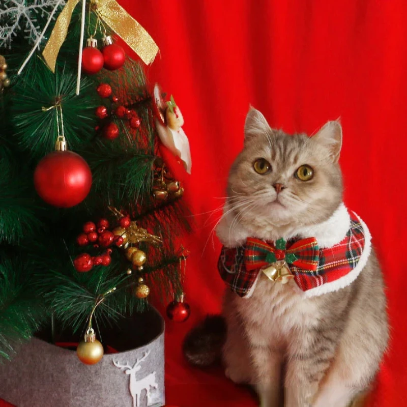 Warm Teddy Collar Pet Scarf Ca - Winter Clothing English のレビューと価格